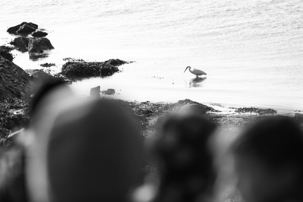 Sortie de l'école au bord de la mer